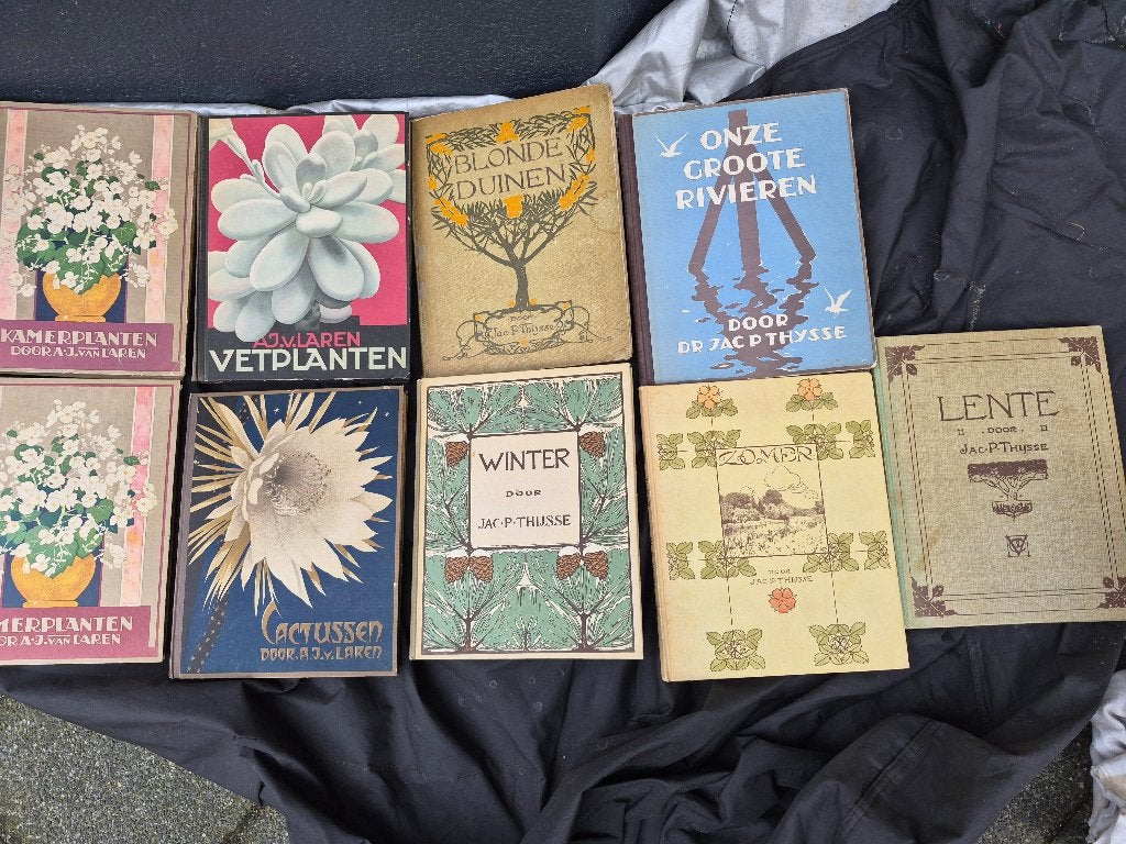 Vintage Verkade, plaatjesalbum Vetplanten, kamreplanten, Antiek en Kunst, Ophalen, A.J. van Laren.