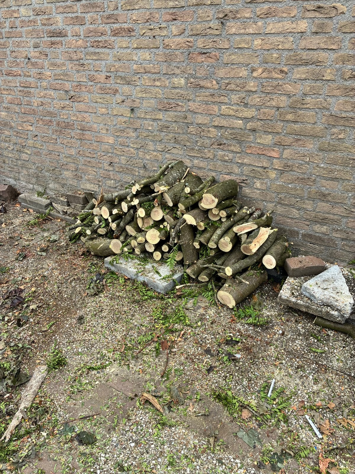 Christusdoorn haardhout, Tuin en Terras, Haardhout, Minder dan 3 m³, Ophalen, Overige houtsoorten, Blokken