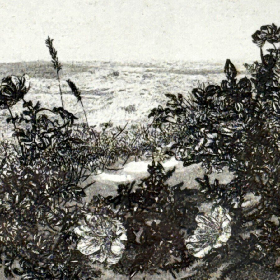 Reinder Homan (1950), ets 'De Muy Texel', Antiek en Kunst, Ophalen of Verzenden, Landschap, Ets, Genummerd