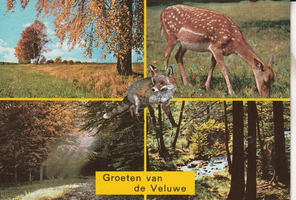 Groeten van de Veluwe 1992, Ophalen of Verzenden, 1980 tot heden, Gelopen, Gelderland