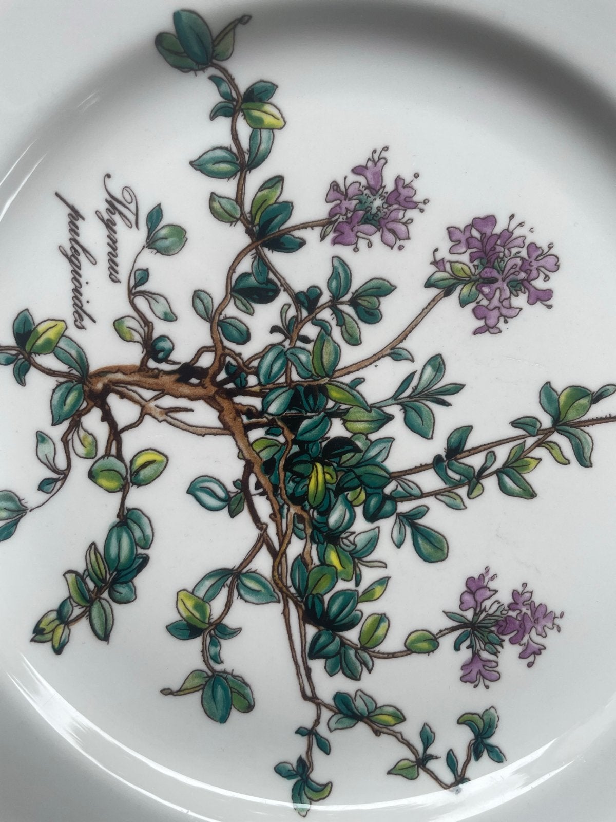 Villeroy & Boch Botanica ontbijtbord - Speciale uitvoering, Villeroy & Boch, Ophalen of Verzenden, Zo goed als nieuw, Bord(en)