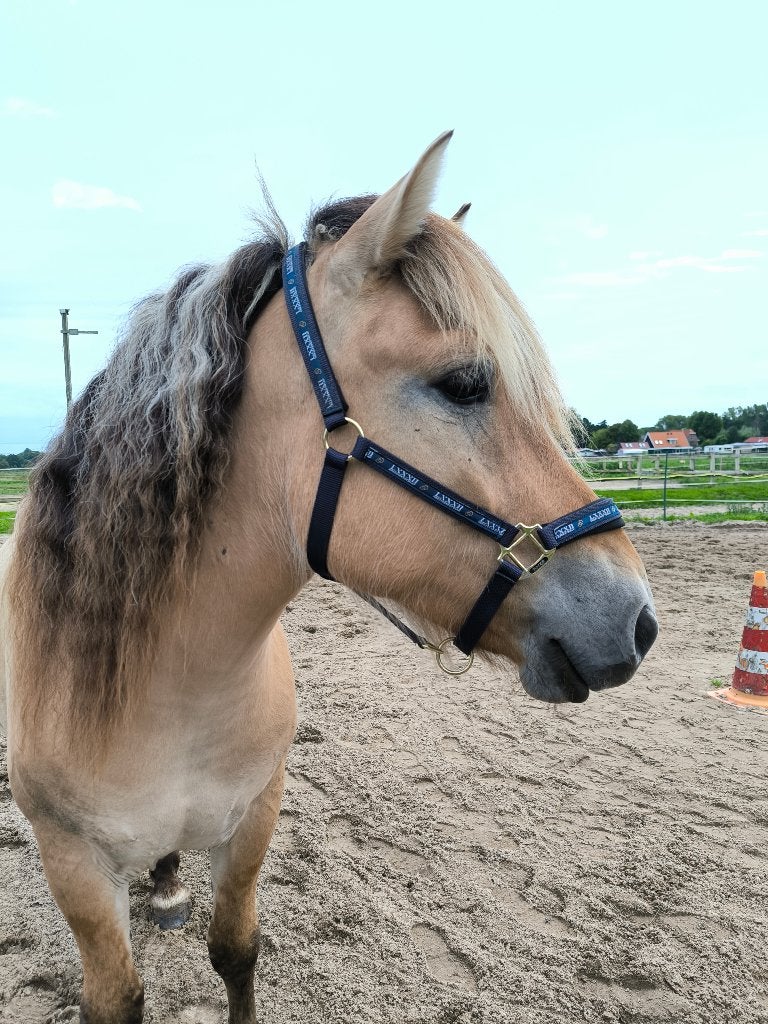 Verzorger gezocht, Dieren en Toebehoren, Overige merken, Ophalen of Verzenden, Nieuw, Overige typen