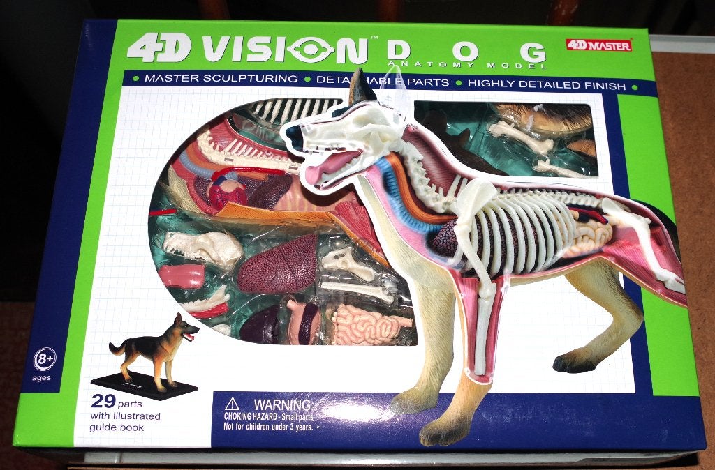 anatomisch bouwpakket, Ophalen, Nieuw