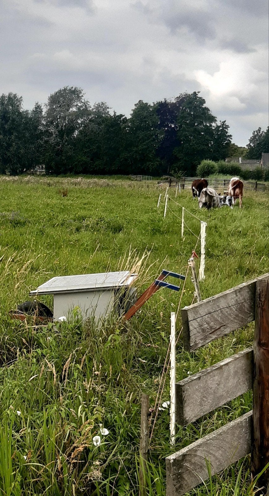 Mobiel solar schrikdraadapparaat, Weidegang