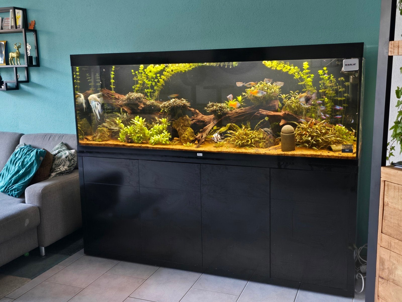 Aquatlantis Sublime 200x60 Aquarium met onderkast, Ophalen, Aquatlantis, Inclusief vissen, Gevuld zoetwateraquarium