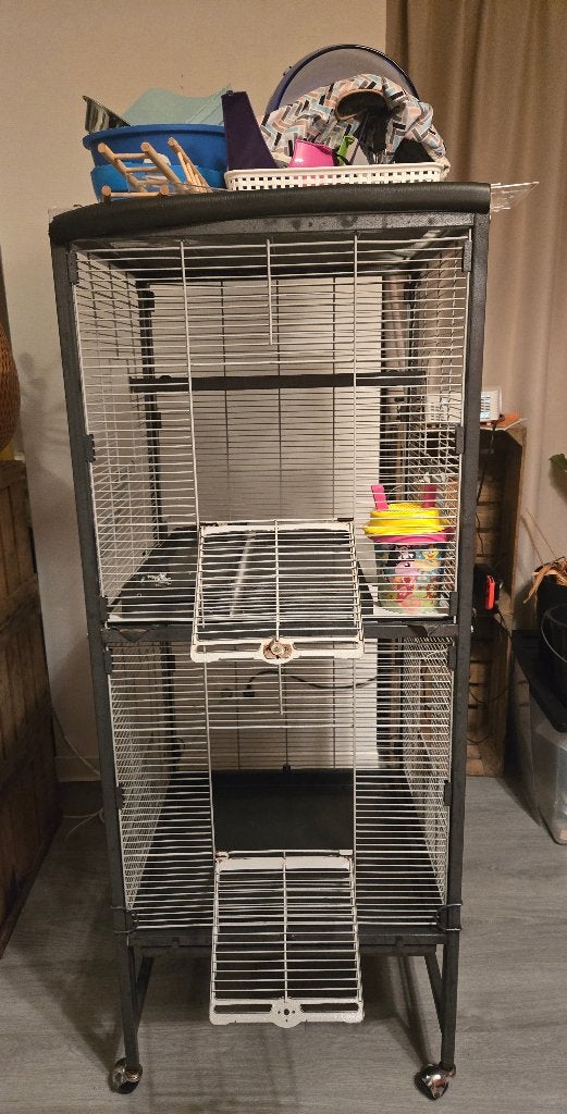 Rattenkooien en toebehoren, Ophalen, 90 cm of meer, Rat, Kooi