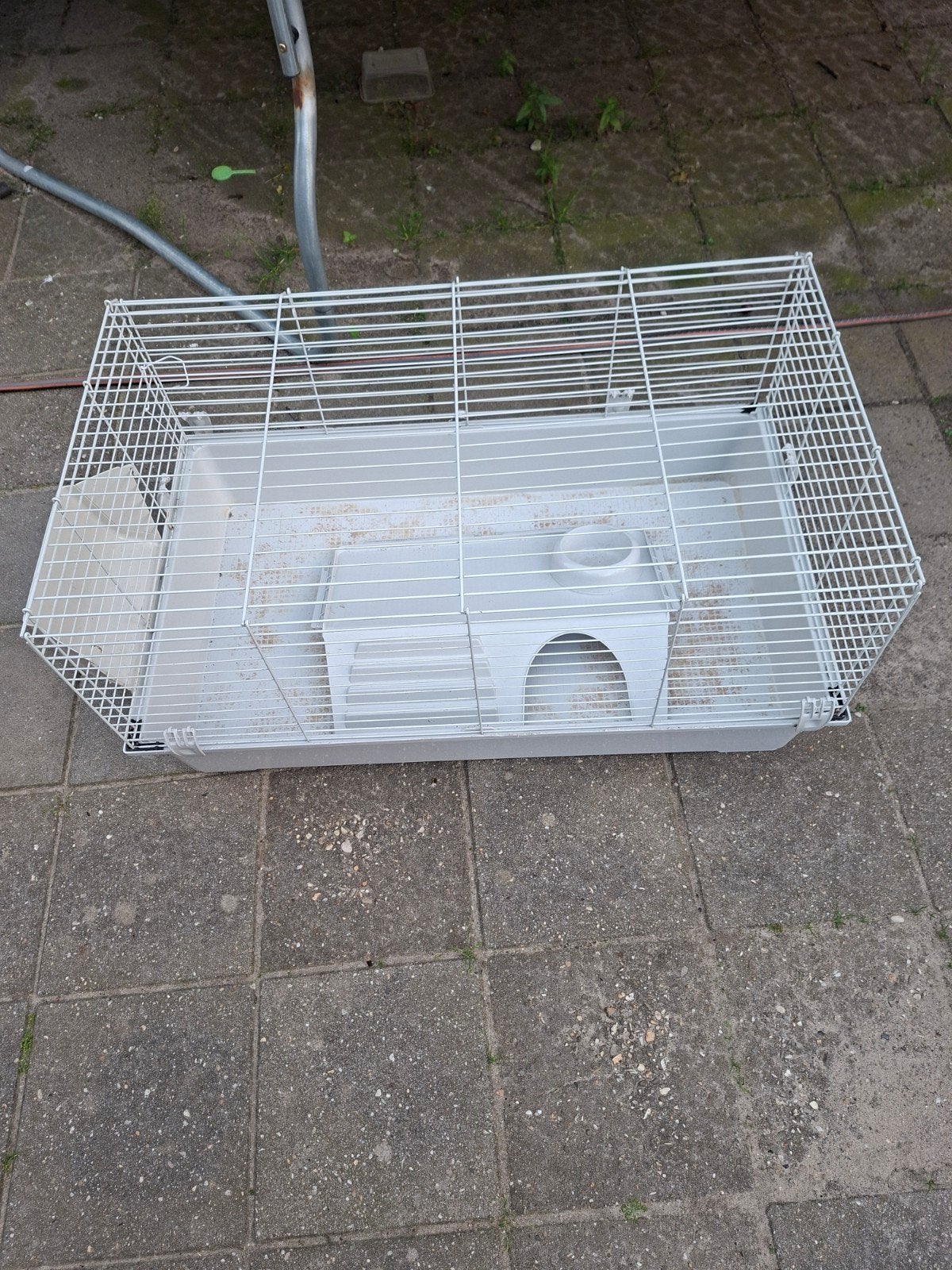 Knaagdieren kooi, Dieren en Toebehoren, Knaagdieren en Konijnen | Hokken en Kooien, Ophalen, Kooi, Minder dan 60 cm