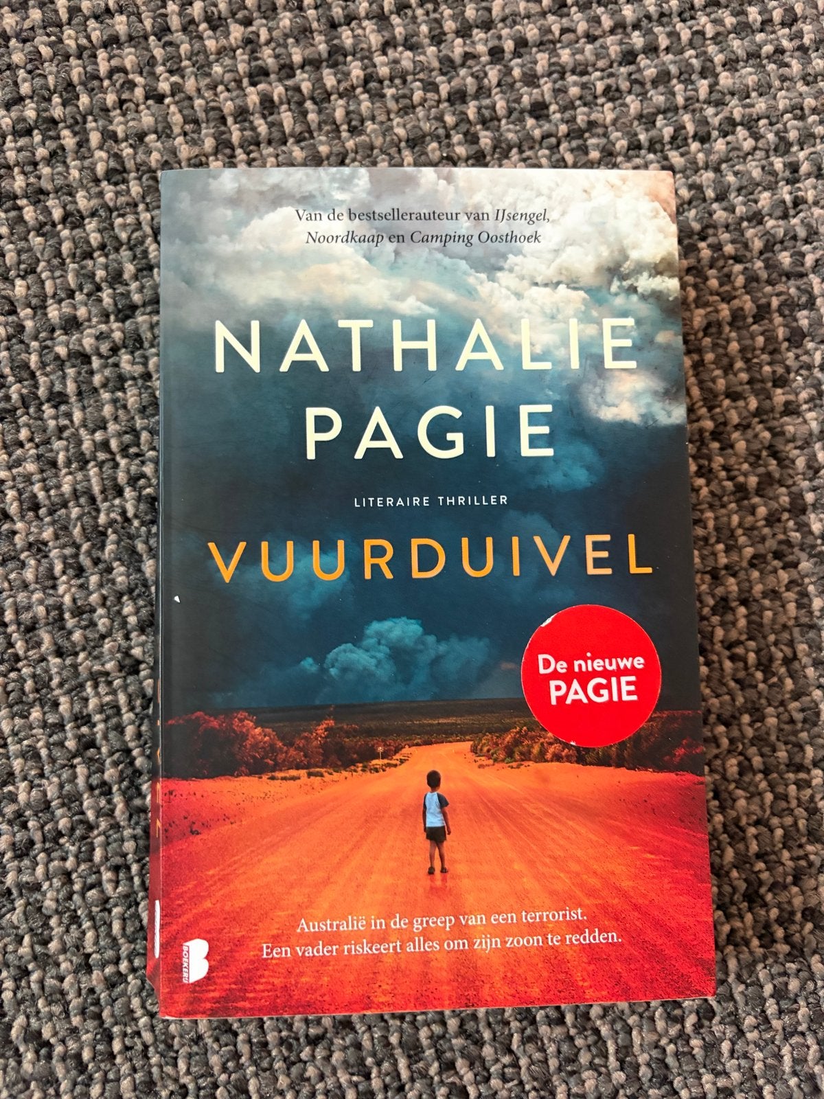 Boekenpakket: Nathalie Pagie, Lucinda Riley, Corina Bomann, Boeken, Thrillers, Ophalen of Verzenden, Gelezen, Nederland