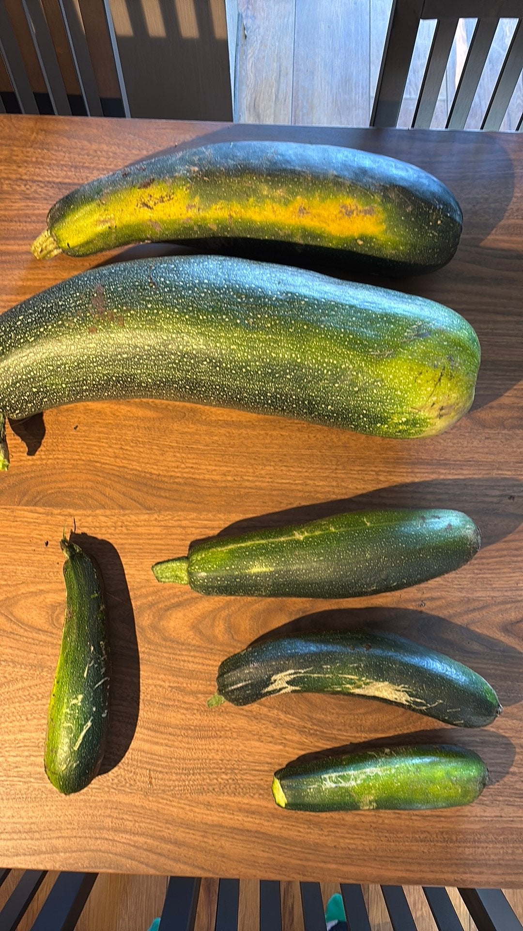 Verse courgettes te koop !!, Ophalen