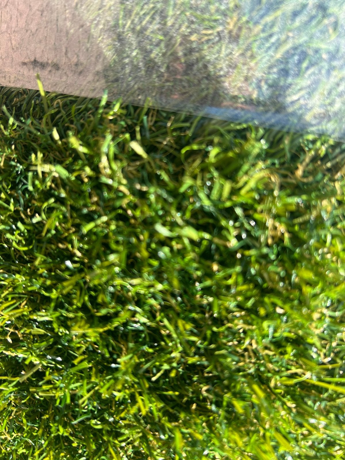 Kunstgras 4,80x4 30mm, Ophalen, Nieuw, 10 tot 20 m², Gras