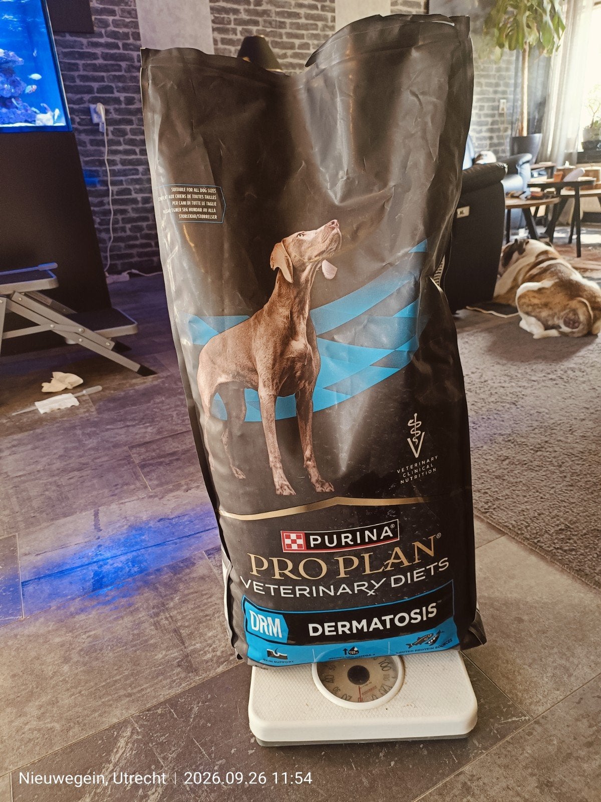 purina pro plan dermatotis brok grote zak, Ophalen of Verzenden, Hond