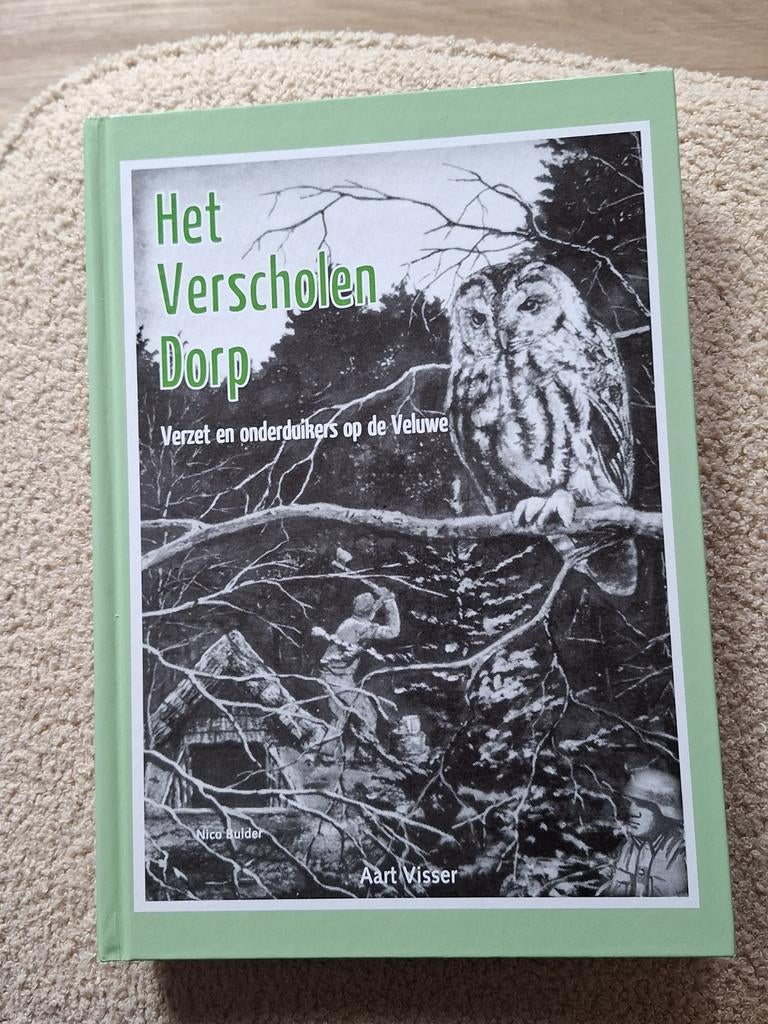 Boek 'het verscholen dorp', Boeken, Aart Visser, Ophalen of Verzenden, Zo goed als nieuw, Eén auteur