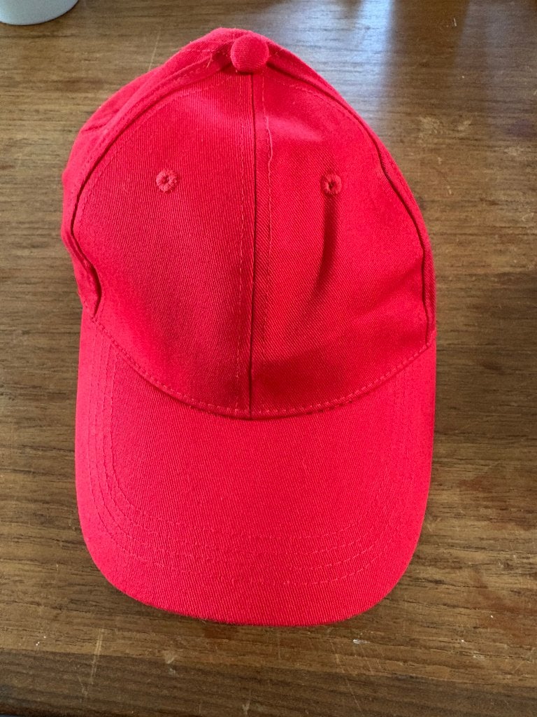 Cap Danke Niki rood 1 Niki Lauda eerbetoon, Ophalen of Verzenden, Zo goed als nieuw, Formule 1