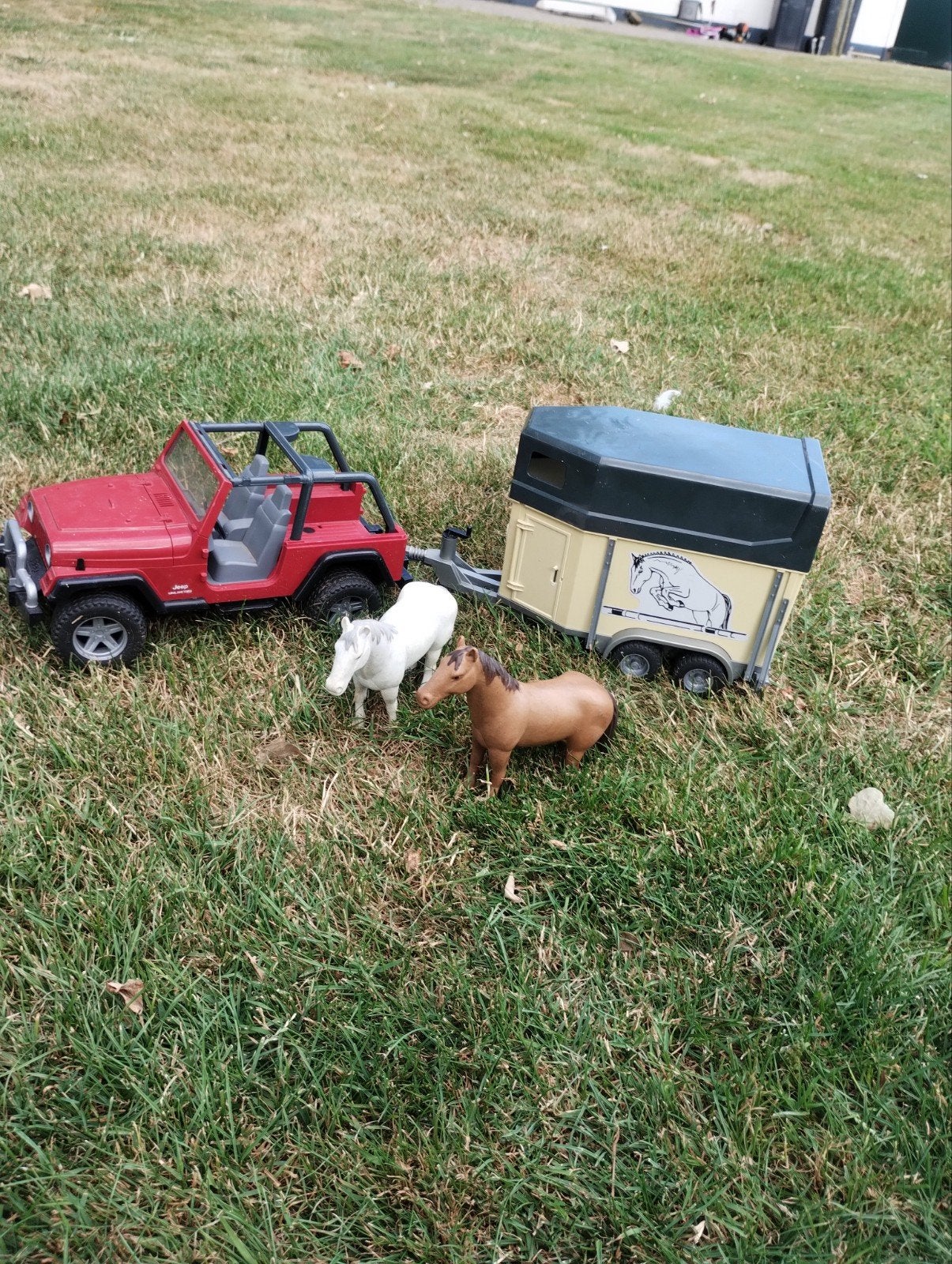 Auto met paardentrailer en 2 paarden, Ophalen, Gebruikt