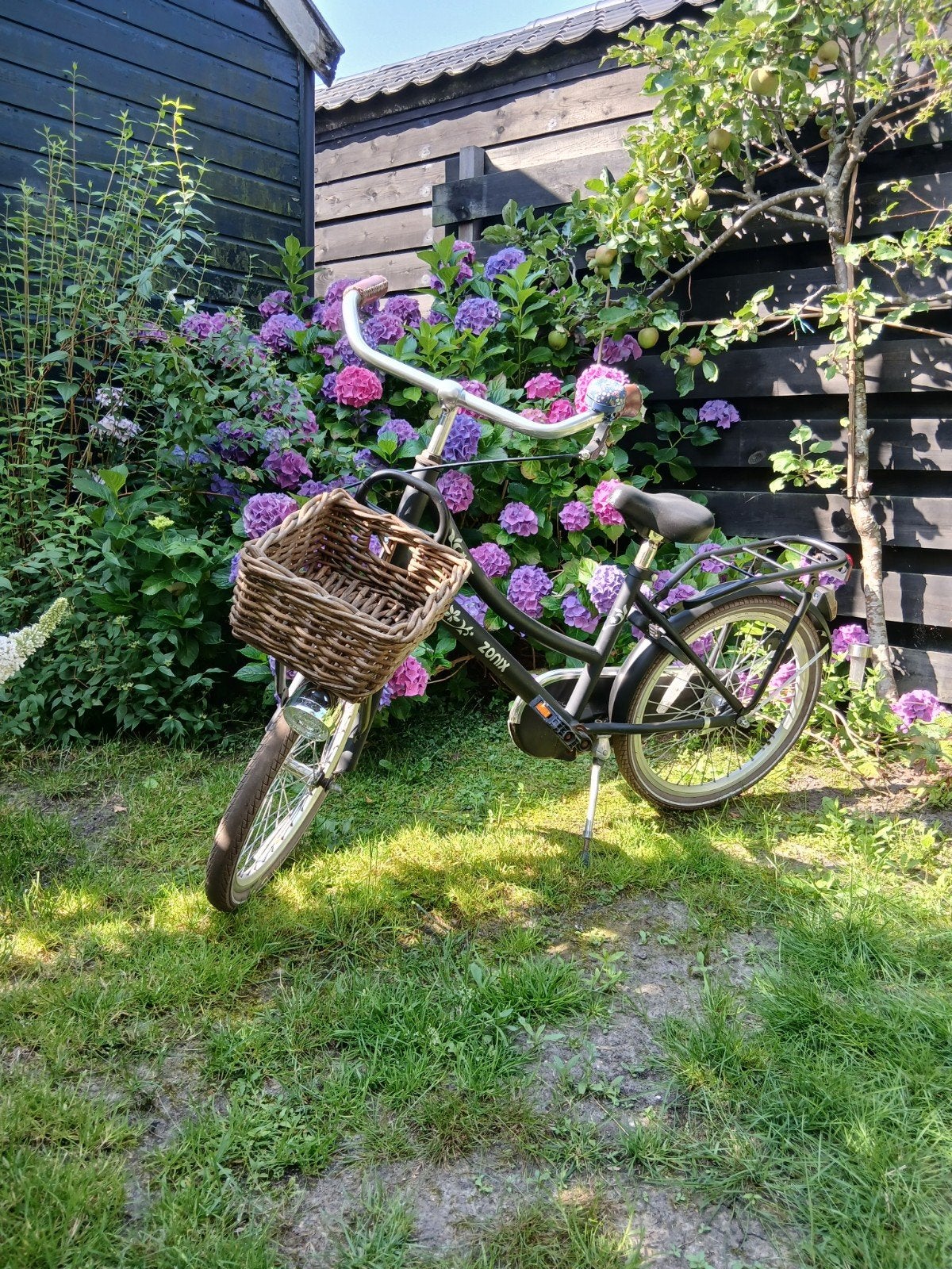 Zonix meisjesfiets met mandje en bagagedrager, Fietsen en Brommers, Ophalen, Gebruikt, Terugtraprem, Overige merken