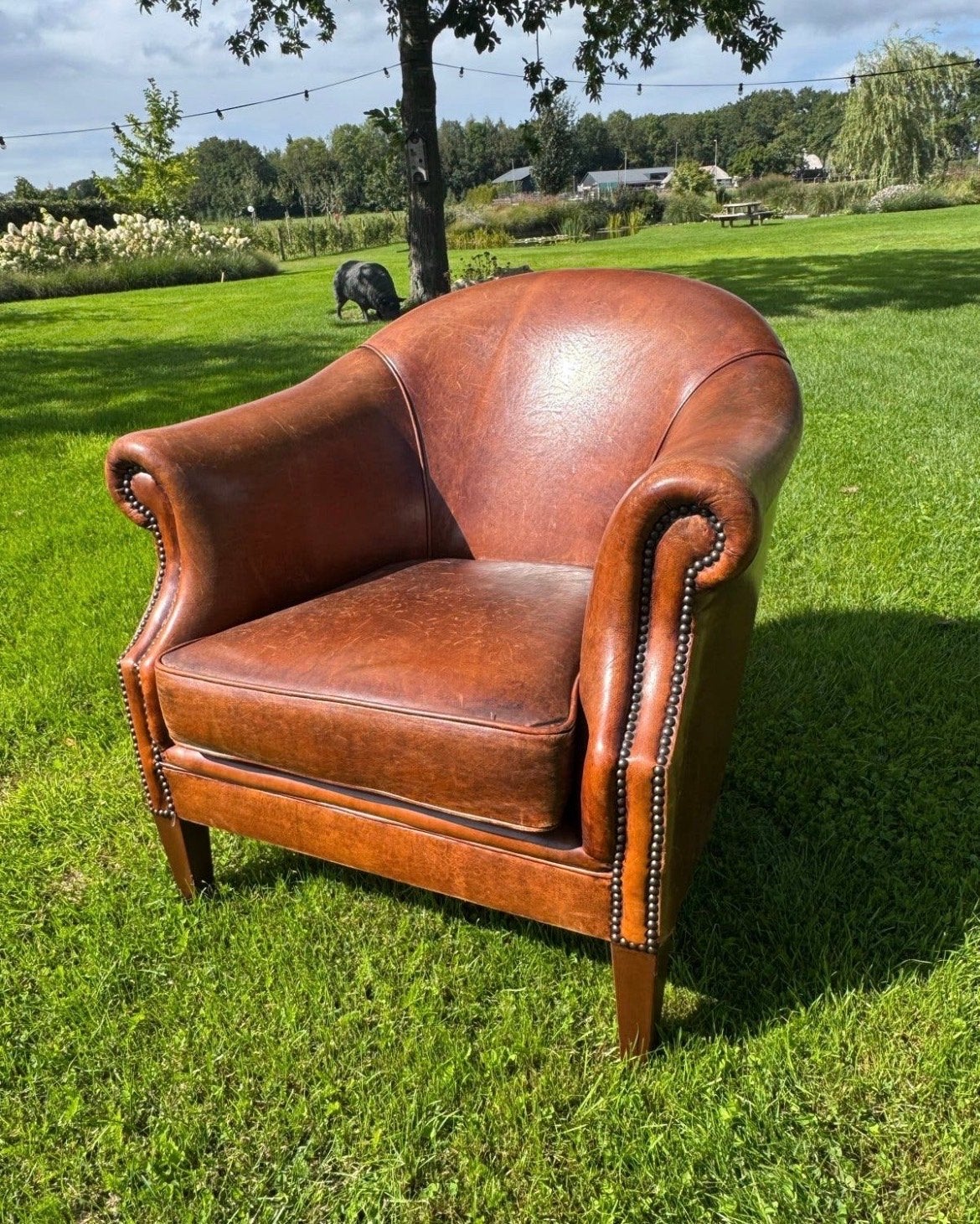 Mooie schapenleren fauteuil - Comfortabel en stijlvol, Ophalen of Verzenden, Gebruikt, Leer, 75 tot 100 cm