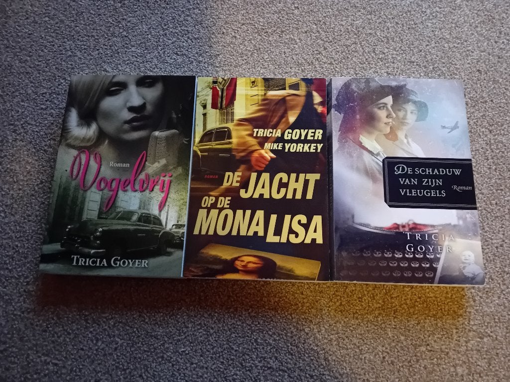 Tricia Goyer 3 titels, Boeken, Romans, Ophalen of Verzenden, Gelezen