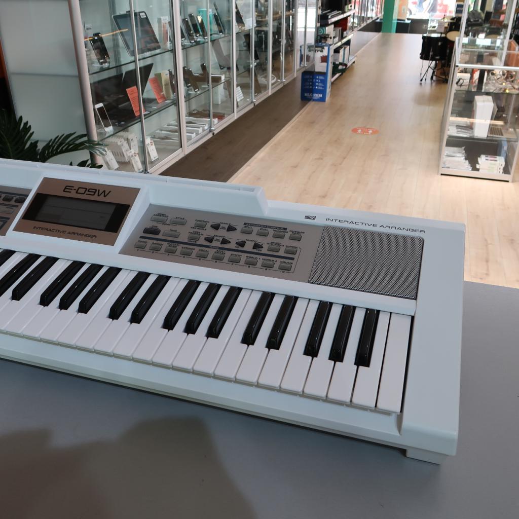 Roland E-09W Interactive Arranger | in Prima Staat, Muziek en Instrumenten, Niet ingevuld, Zo goed als nieuw, Niet ingevuld, Niet ingevuld