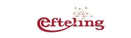 Efteling ticket t/m 8 November 2026, Eén persoon, Ticket of Toegangskaart
