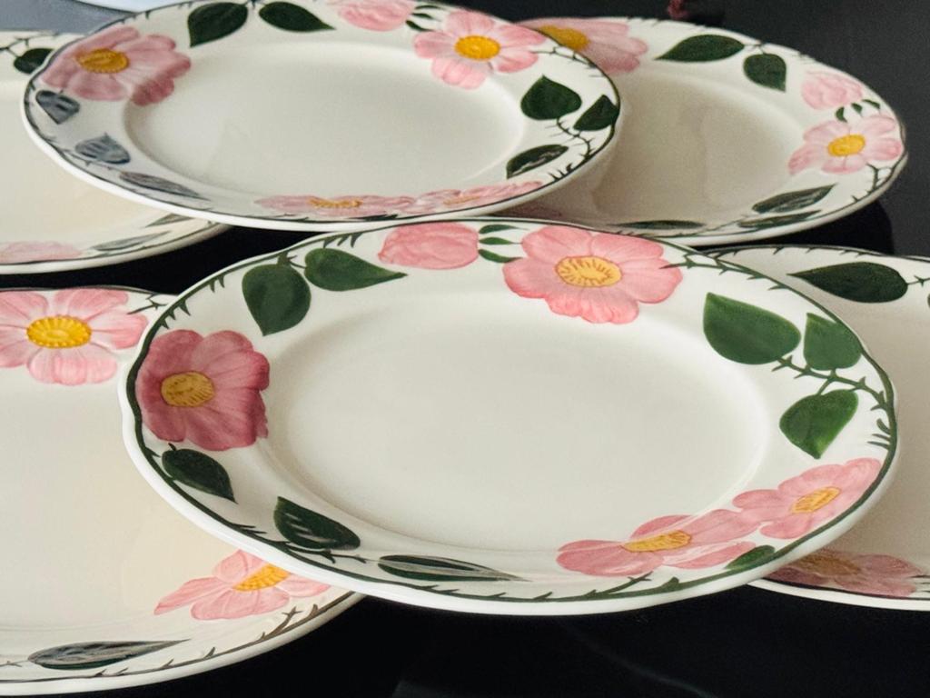 Villeroy & Boch Wild Rose borden 27 cm - set van 6, Ophalen of Verzenden, Zo goed als nieuw, Bord(en), Overige stijlen