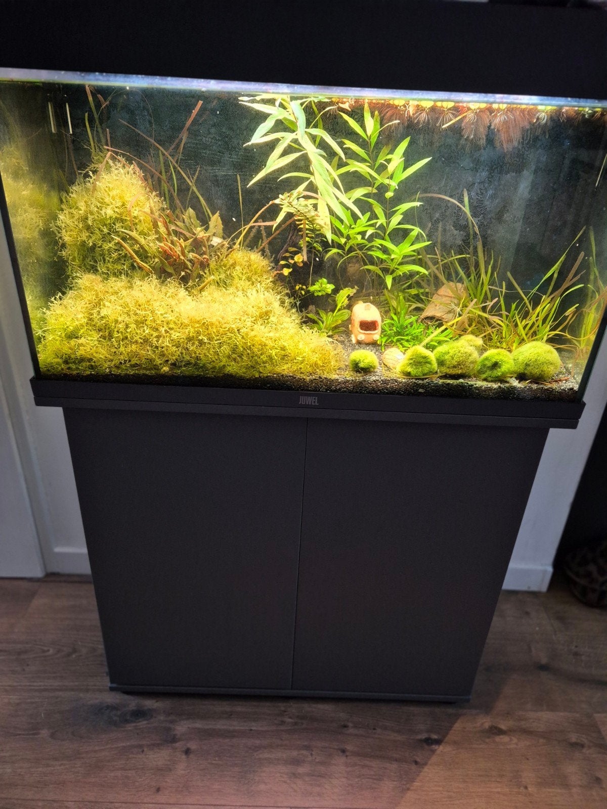 Aquarium te koop. Juwel rio 125 81x36x50cm, Ophalen, Zo goed als nieuw, Gevuld zoetwateraquarium
