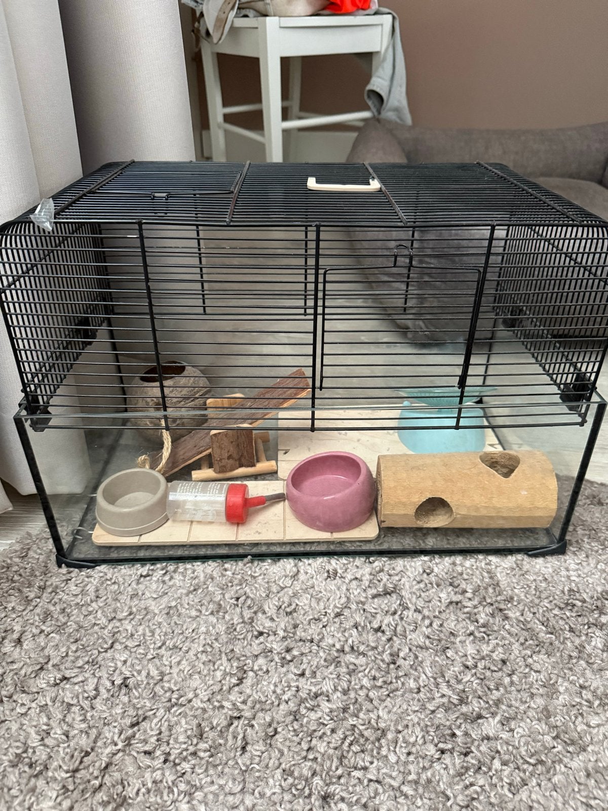 Hamsterkooi + toebehoren, Kooi, Gebruikt, Minder dan 75 cm, Muis