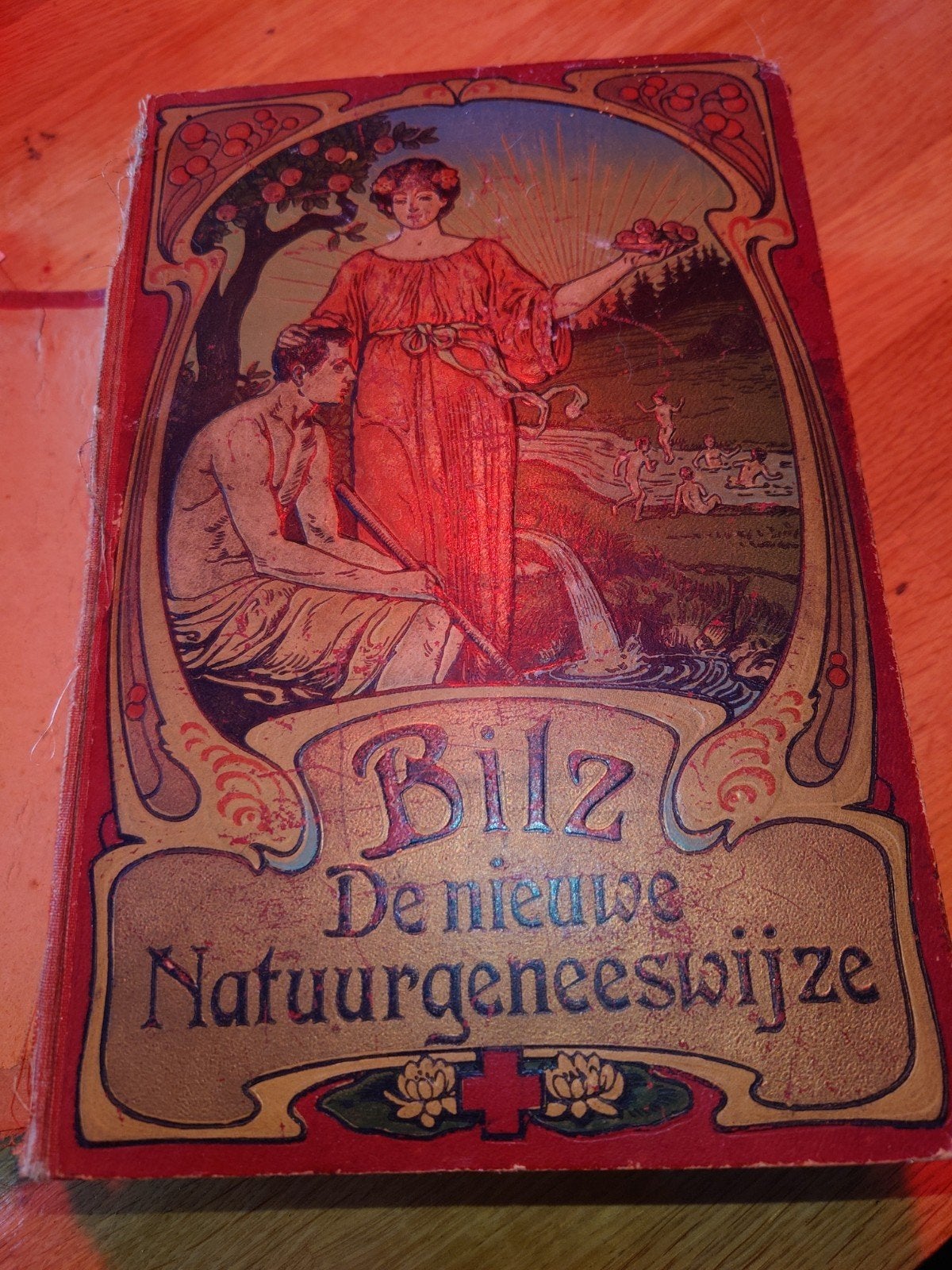 Bilz De Nieuwe Natuurgeneeswijze - Antiek Medisch Boek, Boeken, Ophalen of Verzenden, Gelezen, Kruiden en Alternatief, F.E. Bilz