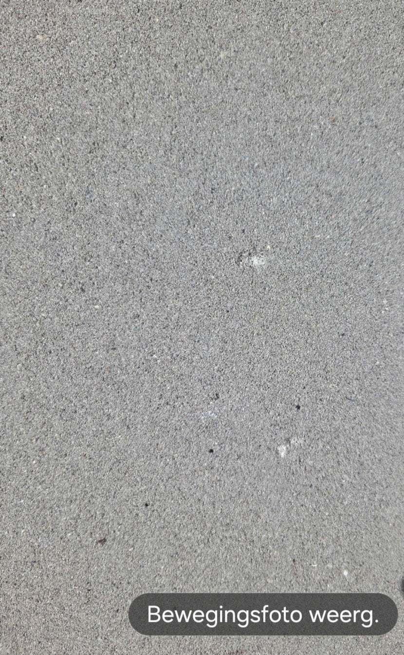 50 Nieuwe Buitentegels (18m2) met beschadigingen, Ophalen, Nieuw, 10 m² of meer, Beton