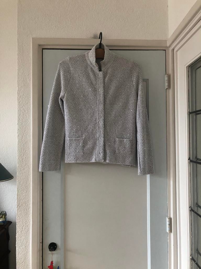 Anneclaire lichtgekleurd jasje met glansje, Kleding | Dames, Ophalen of Verzenden, Zo goed als nieuw, Maat 36 (S), Overige kleuren