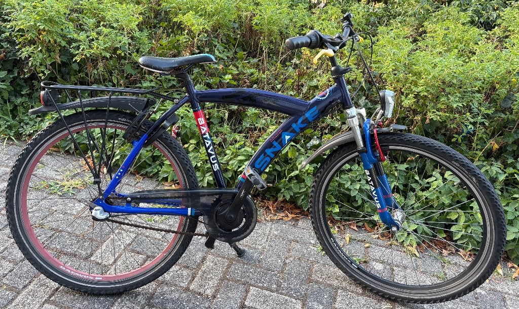 Zeer Mooie Batavus Snake 26 inch 3 Nexus FRAME HOOGTE 48 CM., Terugtraprem, Gebruikt, Versnellingen, Batavus