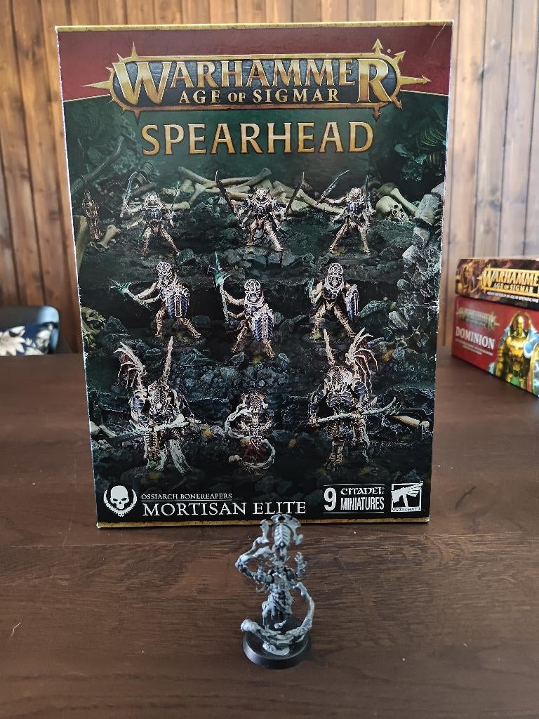 Warhammer Age of Sigmar (AoS) Ossiarch Bonereapers Spearhead, Ophalen of Verzenden, Zo goed als nieuw, Warhammer, Figuurtje(s)