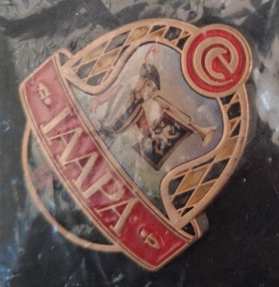 IAAPA pin, Ophalen, Zo goed als nieuw, Button of Speldje