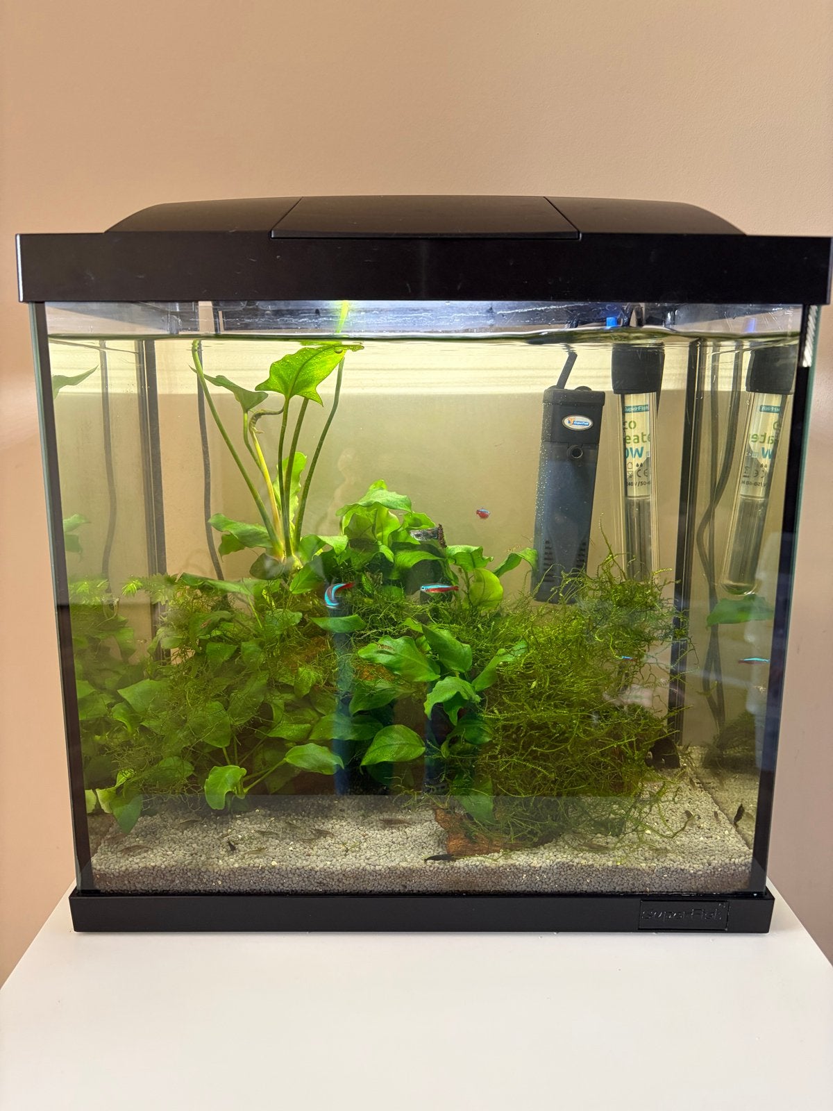 Superfish aquarium incl alle toebehoren en kastje, Ophalen, Gebruikt, Gevuld zoetwateraquarium, Superfish