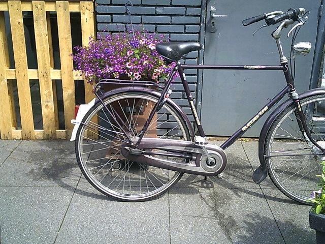 Herenfiets Batavus Locatino, Gebruikt, Versnellingen, 57 tot 61 cm, Ophalen