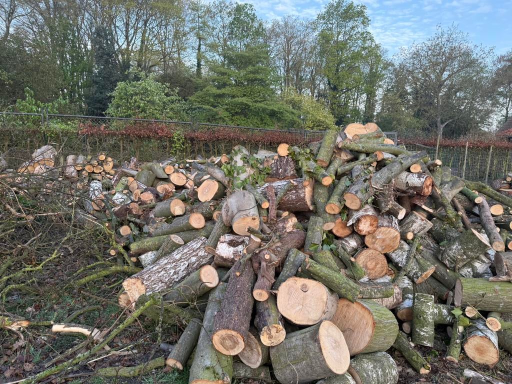 Brand hout haard hout stook hout, 6 m³ of meer, Ophalen, Overige houtsoorten, Blokken