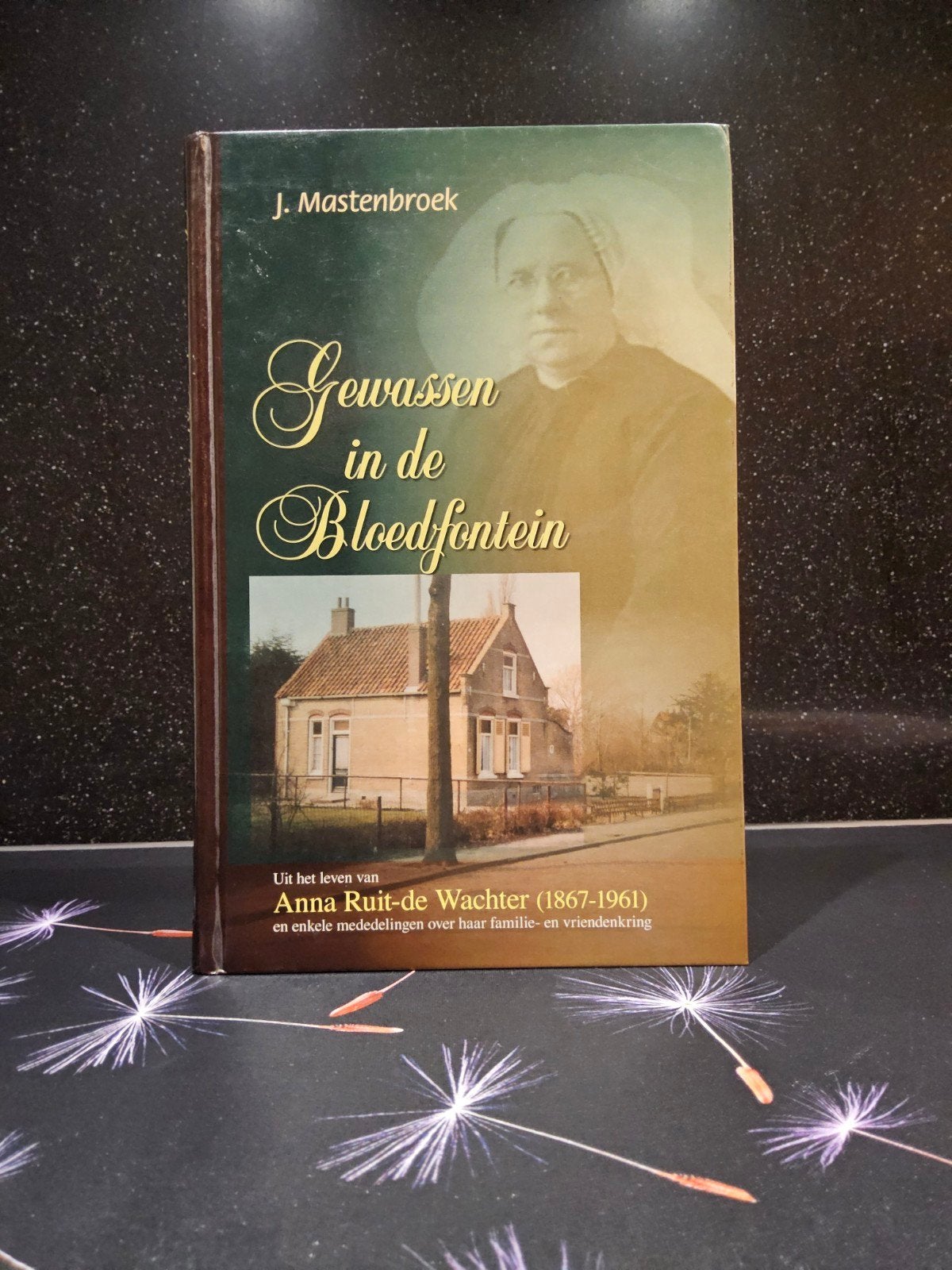 Gewassen in de Bloedfontein / A. Ruit de Wachter, Gelezen, J. Mastenbroek, Christendom | Protestants, Ophalen of Verzenden