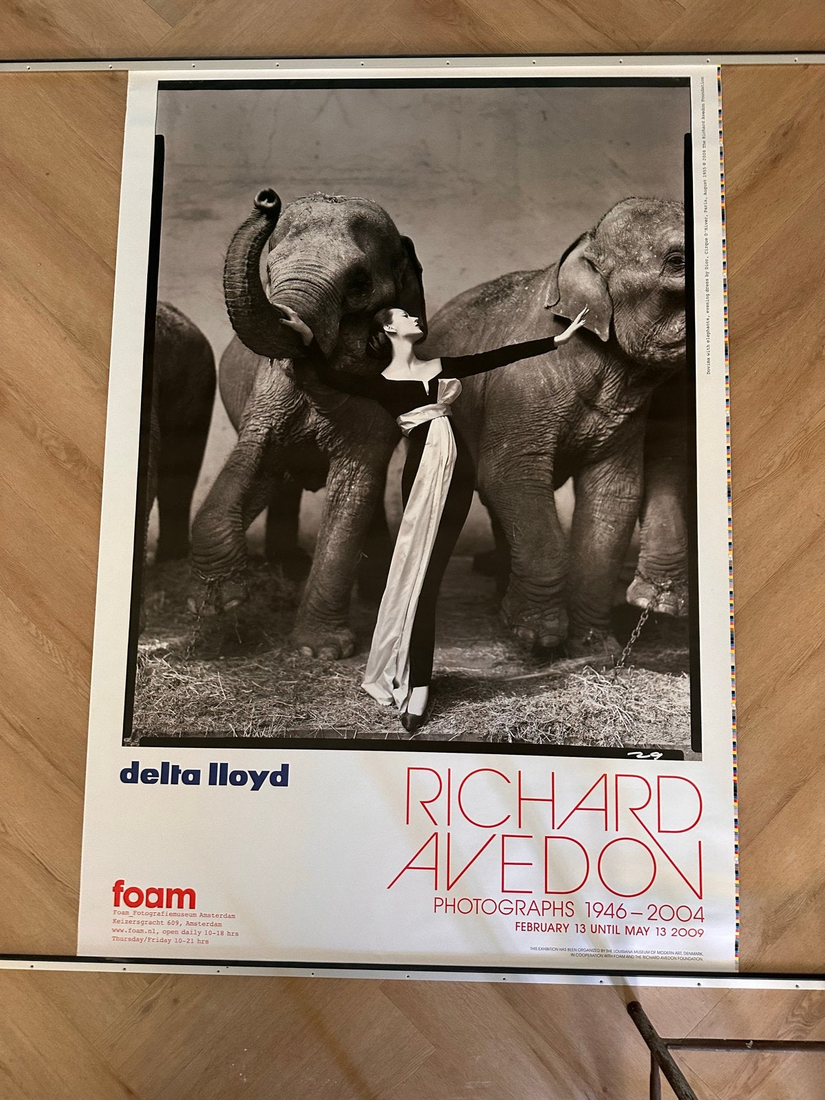 Tentoonstellingsposter FoAm Richard Avedon 2009, Deurposter of groter, Ophalen of Verzenden, Overige onderwerpen, Rechthoekig Staand