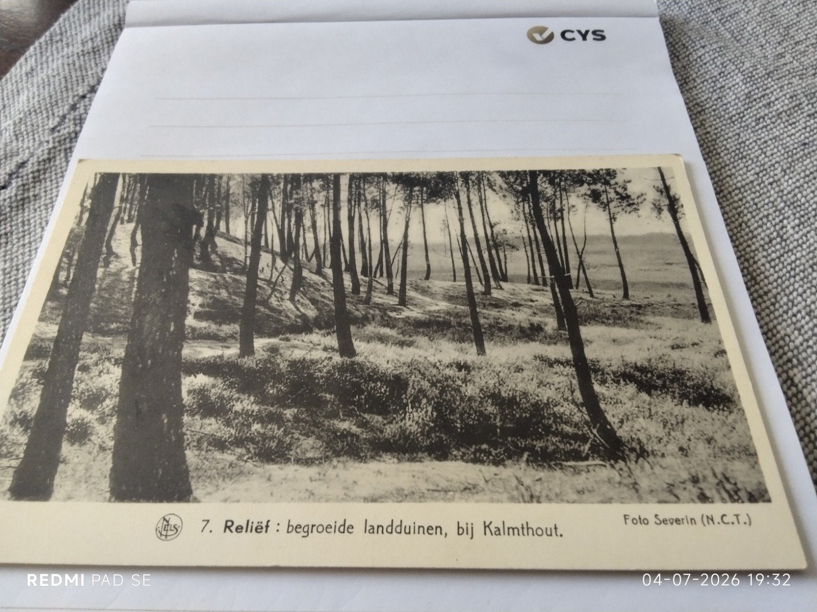 FOTOANSICHTKAART - Begroeide landduinen Kalmthout, Ophalen of Verzenden, Voor 1920
