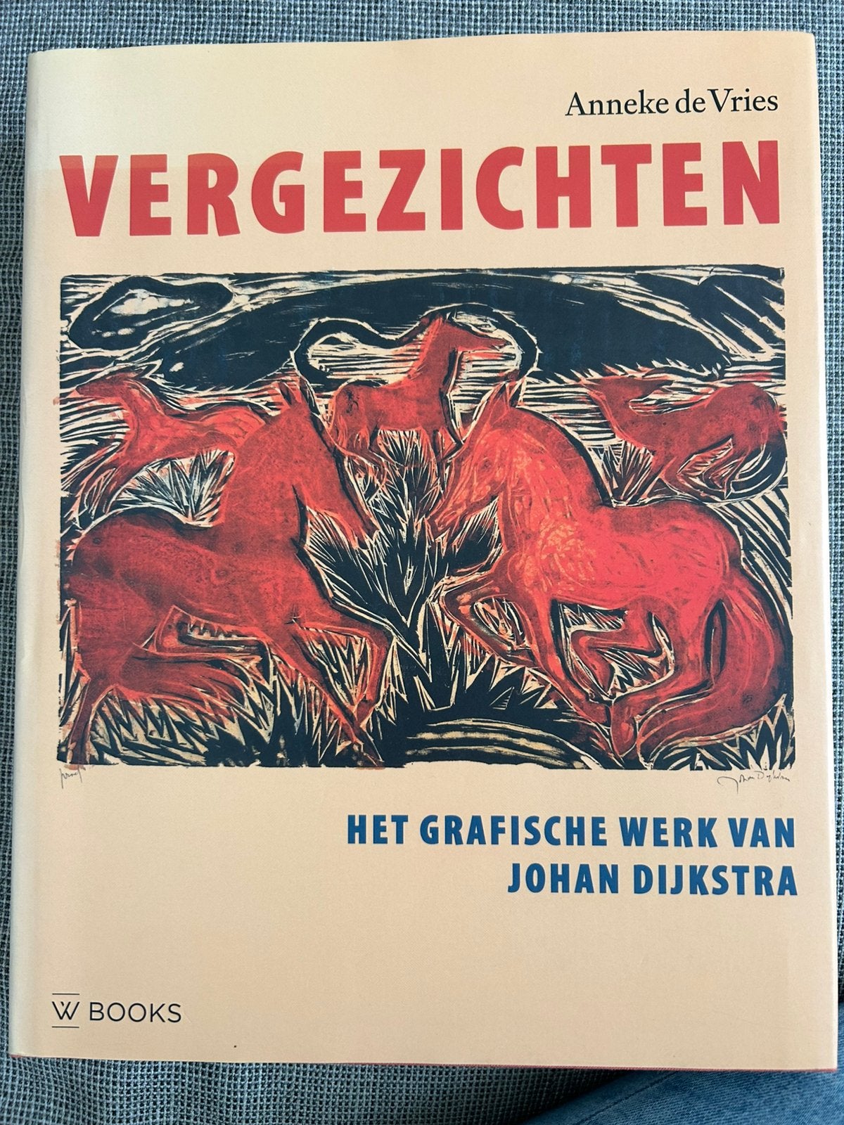 Vergezichten - Anneke de Vries, Verzenden, Zo goed als nieuw