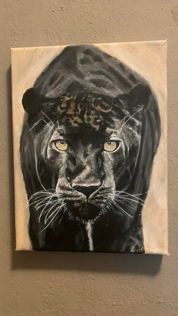 Black panter, Ophalen