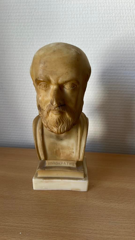 Buste van Hippocrates - Antieke Griekse filosoof, Antiek en Kunst, Kunst | Beelden en Houtsnijwerken, Ophalen of Verzenden