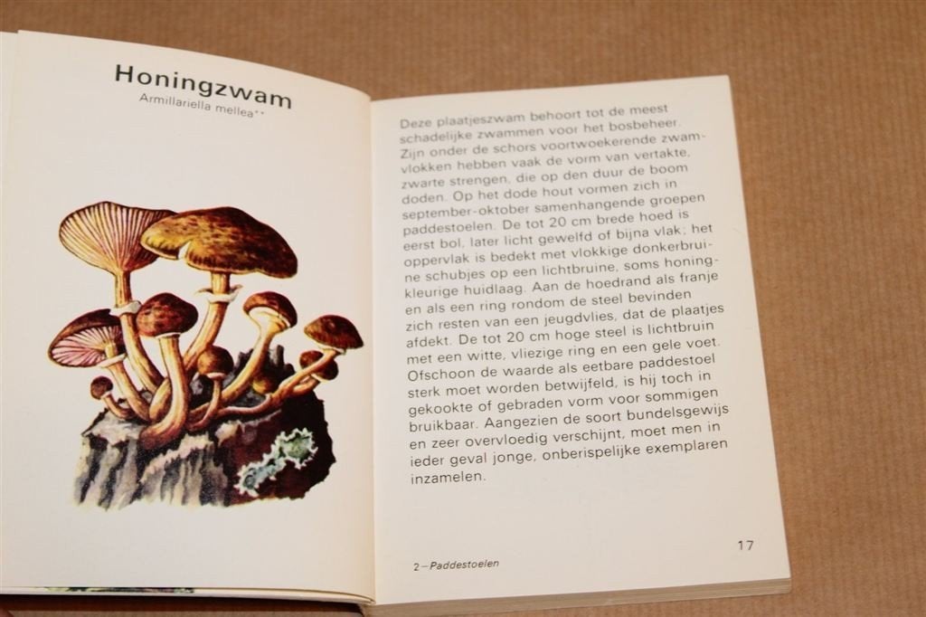 Paddestoelen — Minigids Vintage 1979 Moussault, Ophalen of Verzenden, Gelezen