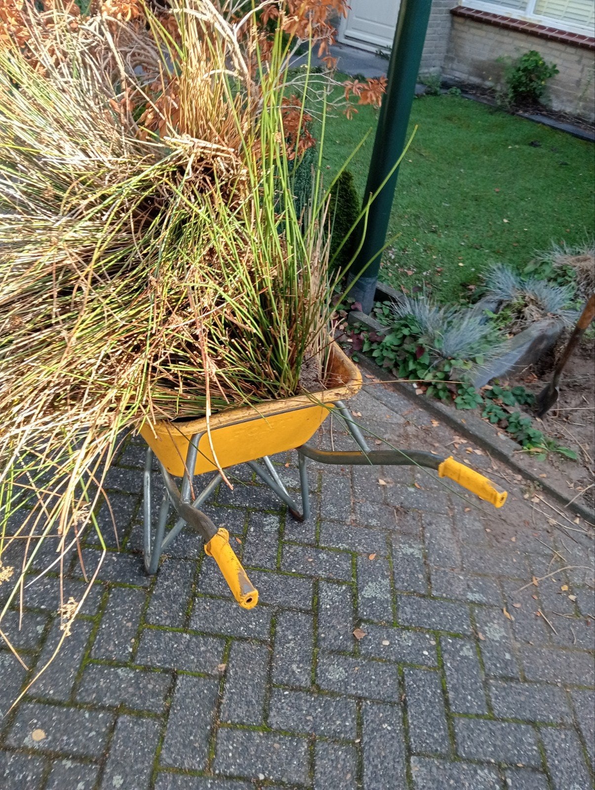 Tuin, graszoden, aanleg ,onderhoud Omg.Eindhoven, Tuin en Terras, Ophalen of Verzenden, Nieuw, 20 m² of meer