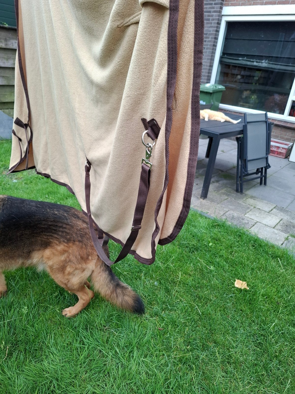Zweetdeken, Dieren en Toebehoren, Paarden en Pony's | Dekens en Dekjes, Ophalen of Verzenden, Gebruikt