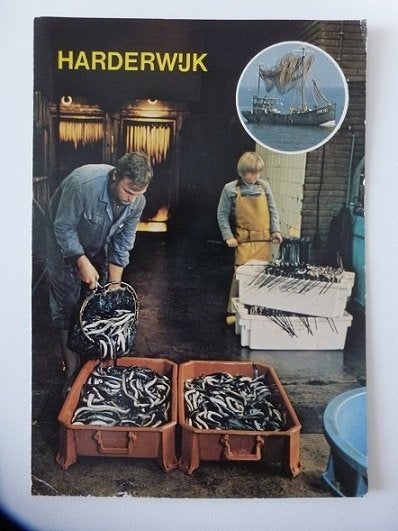 HARDERWIJK palingen man jongen, Ophalen, 1960 tot 1980, Gelopen, Gelderland