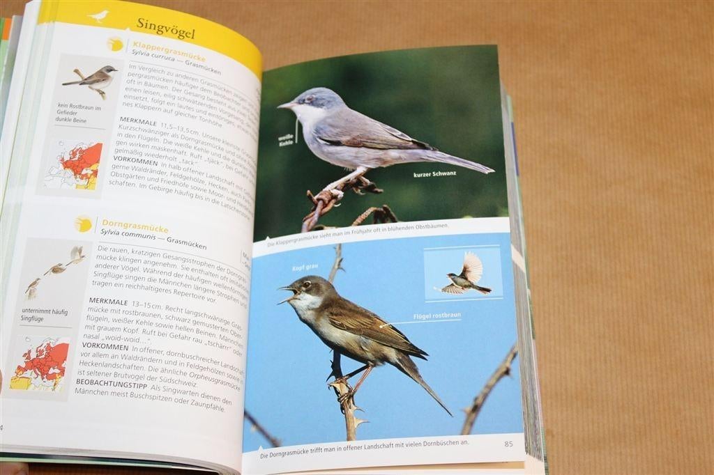 Wat Vliegt Daar? — Het Fotoboek [Duitsland], Ophalen of Verzenden, Gelezen, Paarden of Pony's