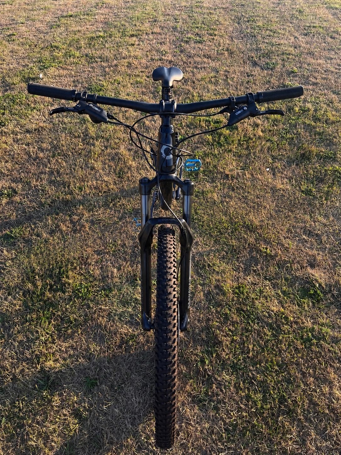 Mountainbike = Cannondale habit 4 XL