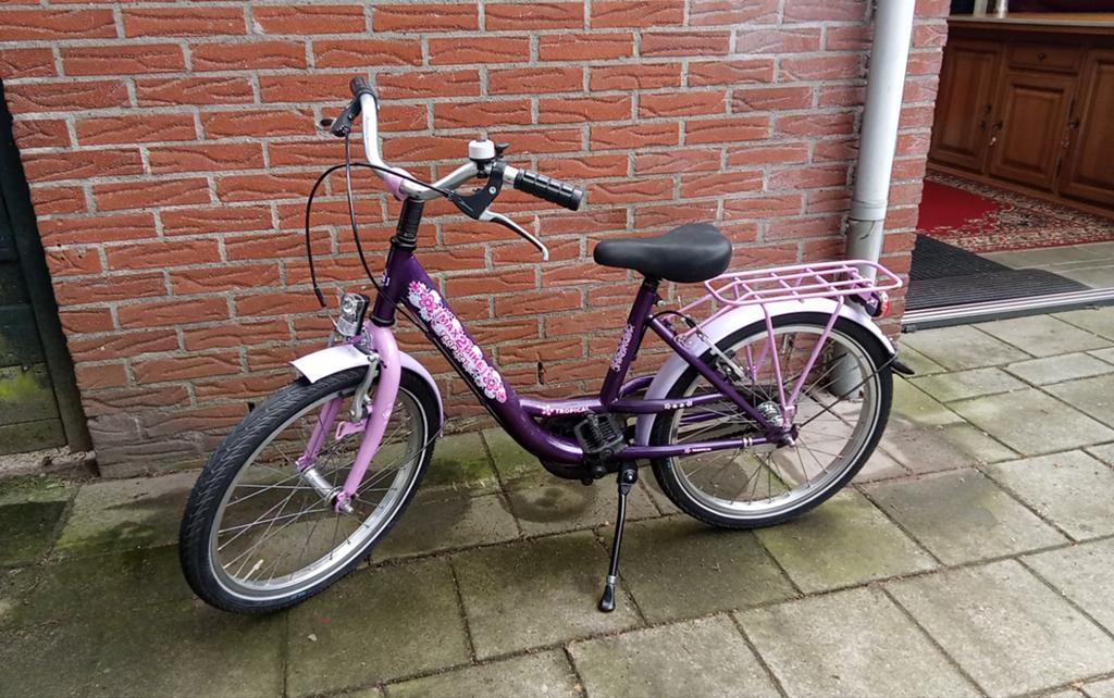 Max2bike Tropical 20 inch kinderfiets paars/roze, Ophalen, 20 inch of meer, Gebruikt, Velgrem