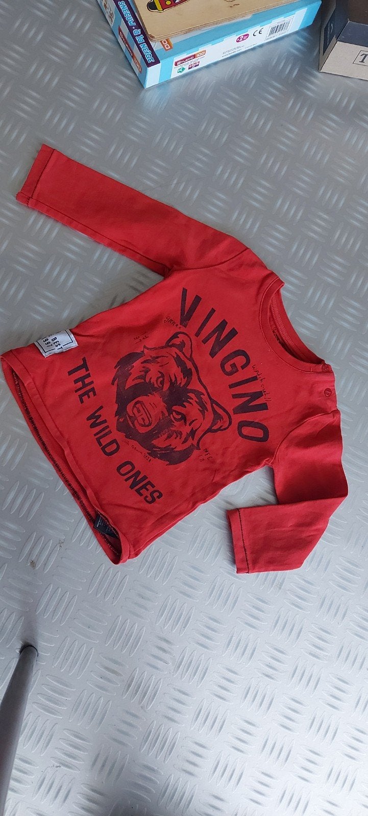 Truitje mt 80, Kinderen en Baby's, Babykleding | Maat 80, Truitje of Vestje, Ophalen of Verzenden, Zo goed als nieuw, Vingino