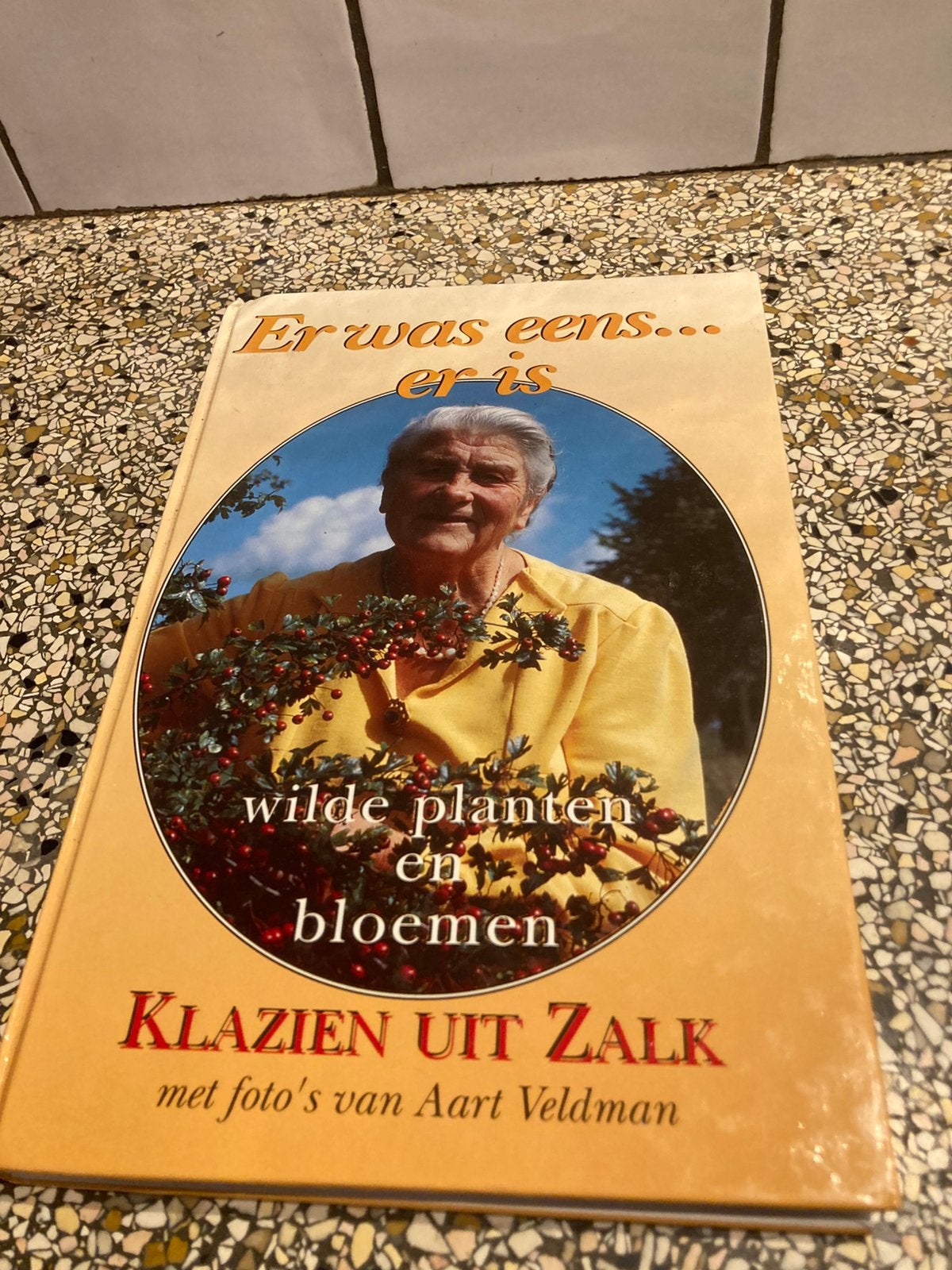 Boek Klazien uit Zalk, Ophalen of Verzenden, Gelezen